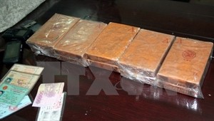 In 2014, Vietnam uncovered 19,195 drugs cases involving 28,880 suspects and seized 573.2kg of heroin (Photo: VNA)